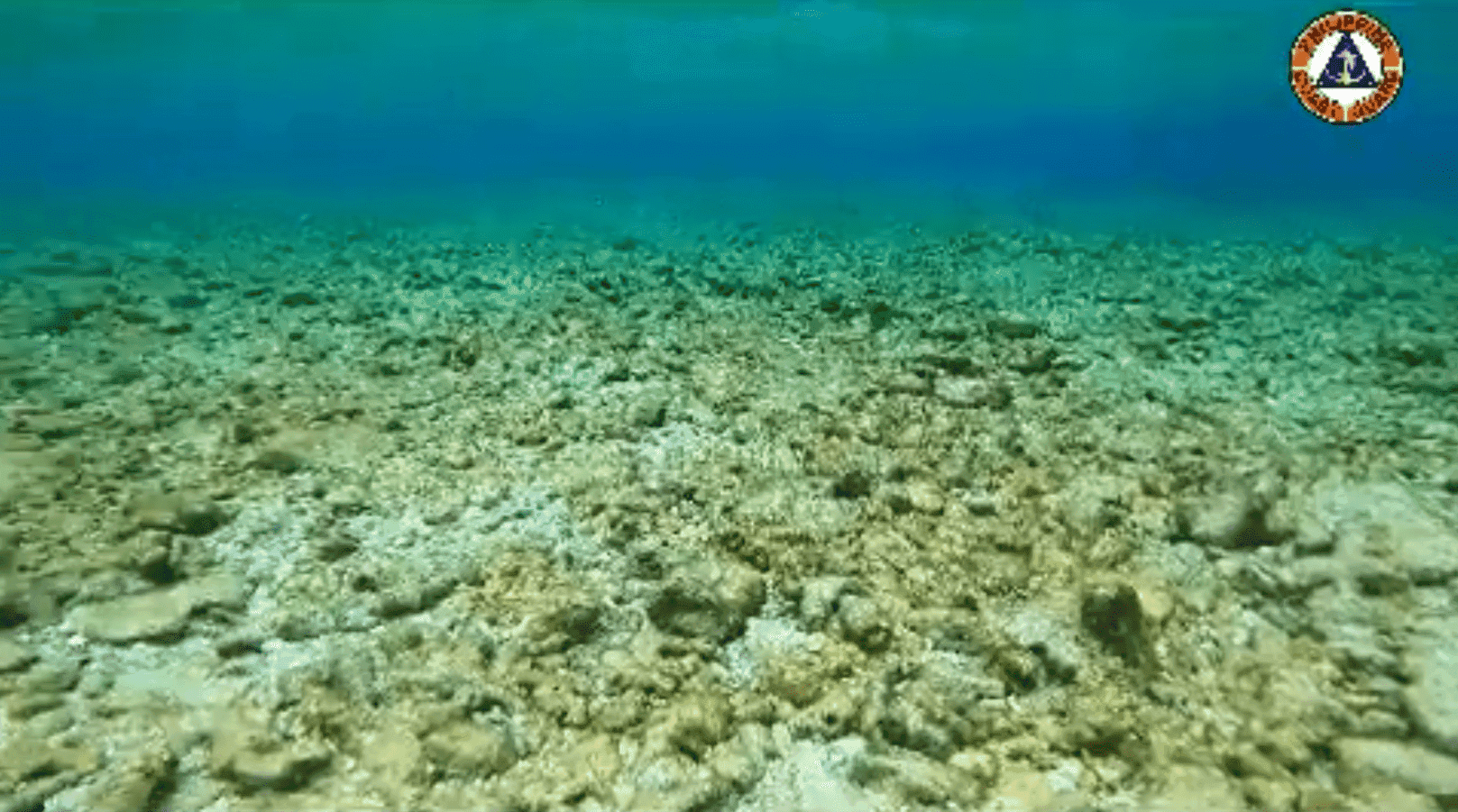 PCG confirms "extensive damage" in marine ecosystem, coral reef in WPS