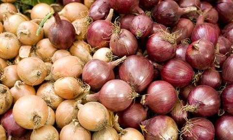Price of red onions may go down in February, Agri group says