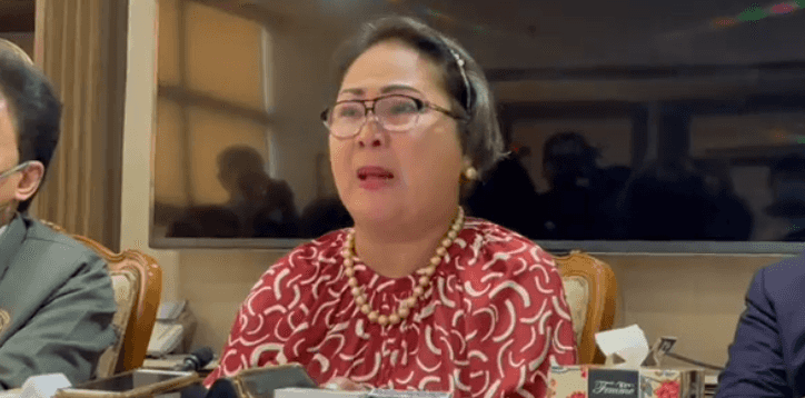 'I was used as a tool' Sandra Cam admits involvement on De Lima's imprisonment