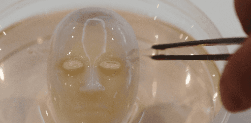 Say cheese: Japanese scientists make robot face 'smile' with living skin