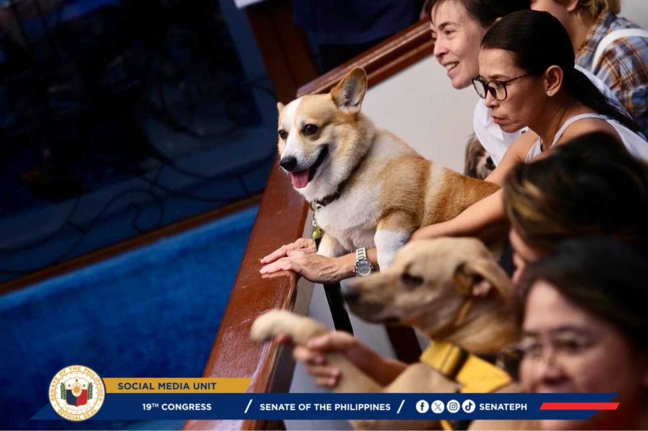 LOOK: Senators allow pet dogs in session hall