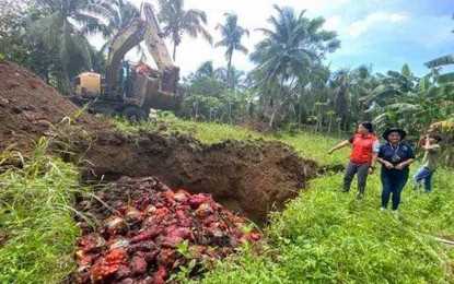 Smuggled onions disposed in Zamboanga City