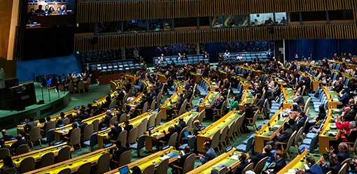 UN General Assembly backs Palestinian bid for membership