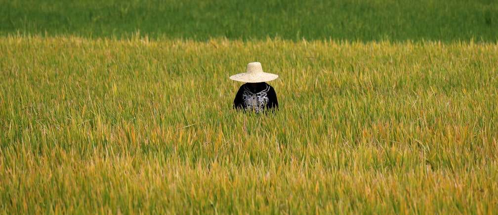 5 Pangasinan onion farmers commit suicide due to income loss