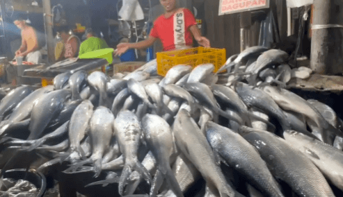 Fish in all areas in Manila Bay, 5 areas in Cavite now safe to eat — BFAR