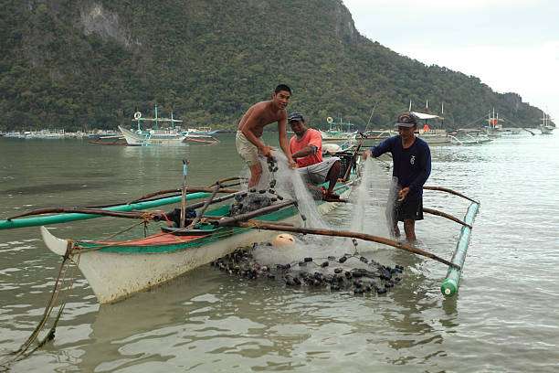 Oriental Mindoro gov't lifts fishing ban in Naujan, Pinamalayan towns