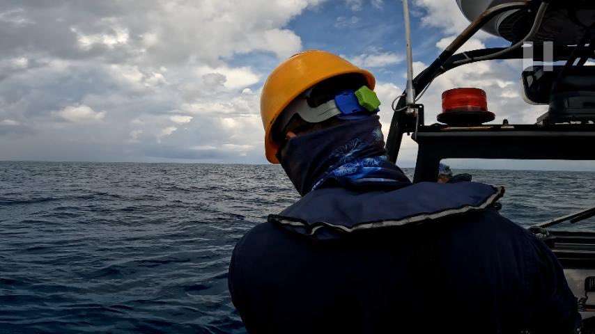 AFP reports massive coral harvesting in West Philippines Sea