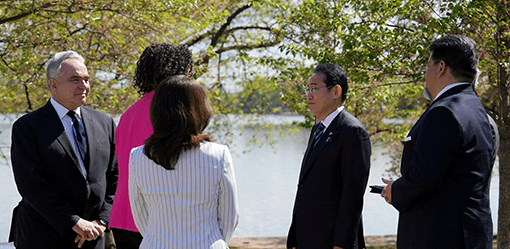 Kishida delights Washington with promise of 250 cherry trees as independence gift