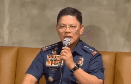 No reason for a 'destabilization plot' — PNP chief