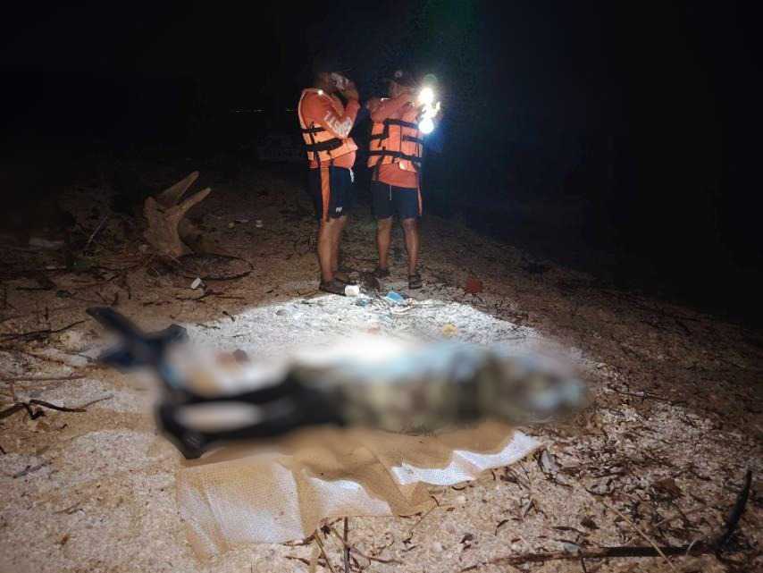 2 scuba divers die near Verde Island, Batangas City