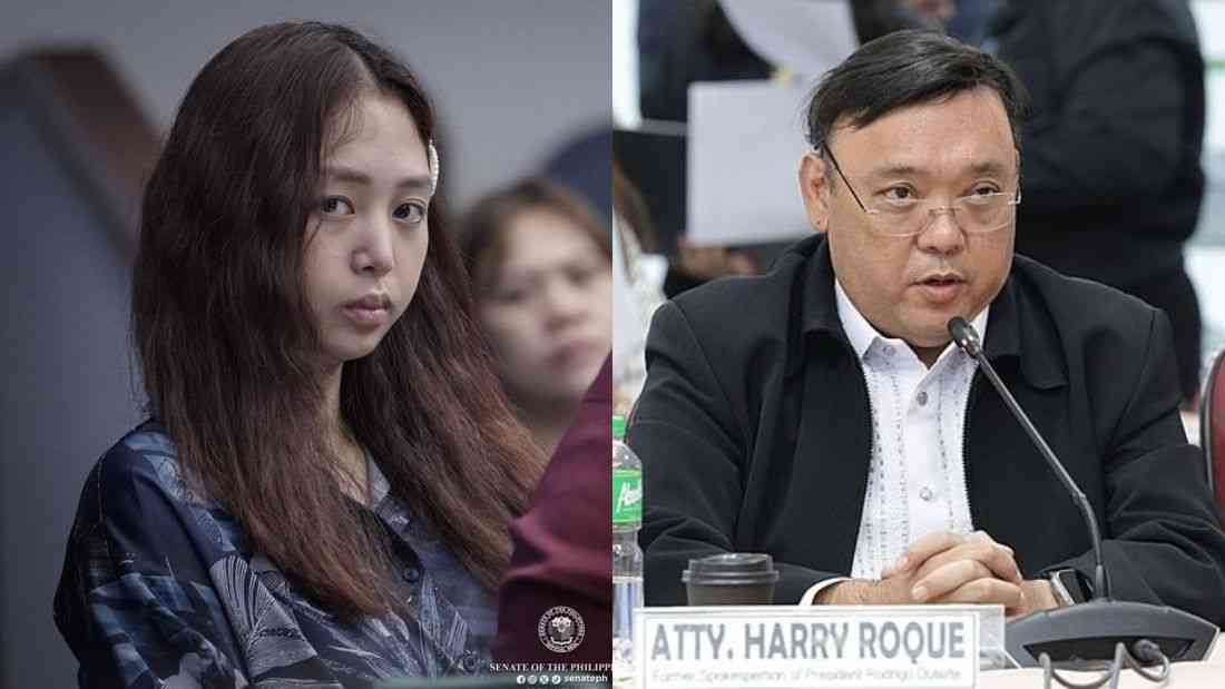 Pasig RTC approves passport cancellation for Cassandra Ong, Harry Roque, others
