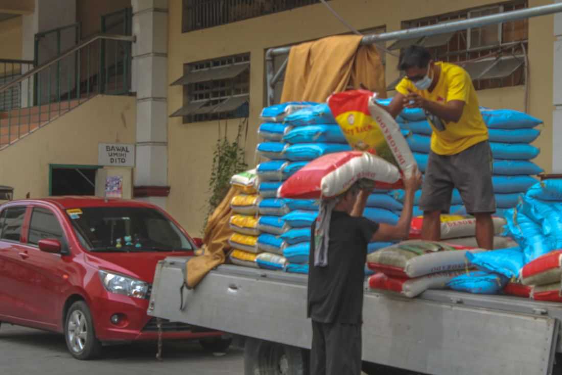 Rice remains stable, corn at risk after Typhoon Tino — DA