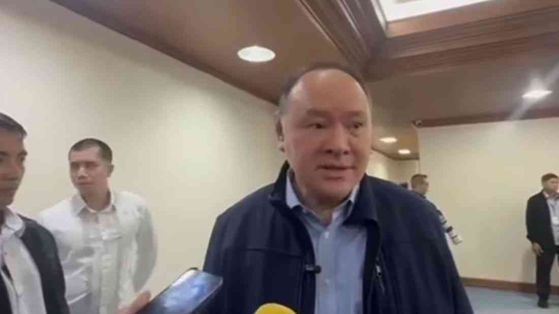 Protesters calling for withdrawal of support for the gov’t should be arrested – Sec. Teodoro