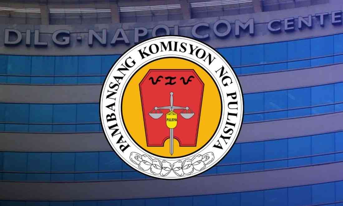 Napolcom sacks police officer over lewd online social media content