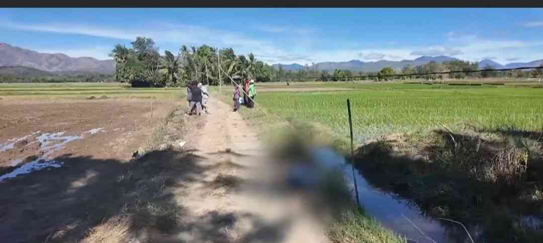 Two siblings found dead in Dolores, Abra