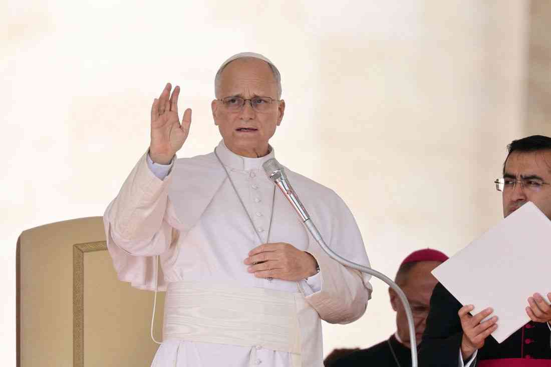 Pope Leo will not need further cancer treatment, doctors say