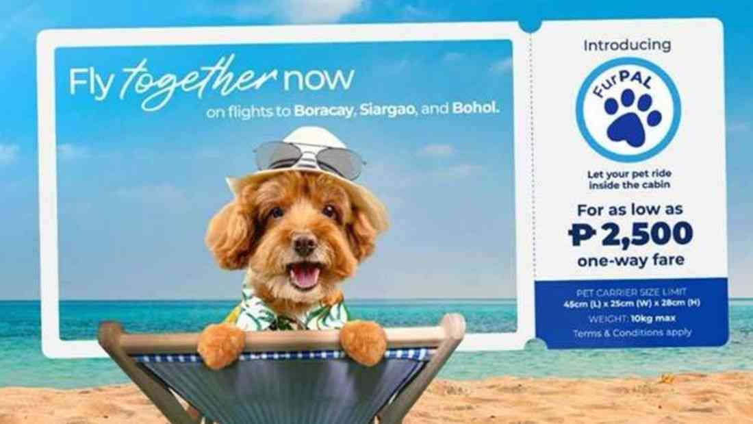 Fur baby now boarding: PAL launches ‘FurPAL’ for pet-friendly travel