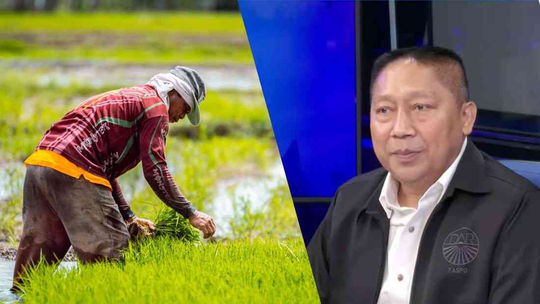 ‘SPLIT’ project to grant individual land titles to 1.1 million farmers by 2027 – DAR