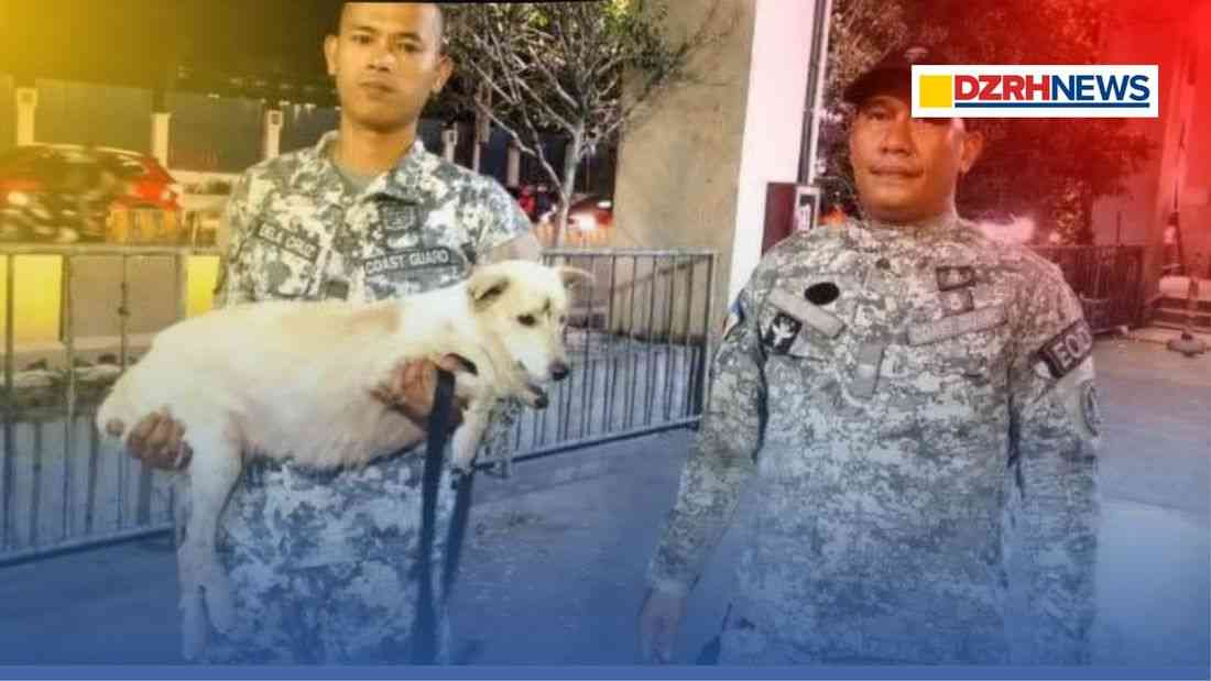 Rescued MRT-3 dog reunited with family weeks after being rescued