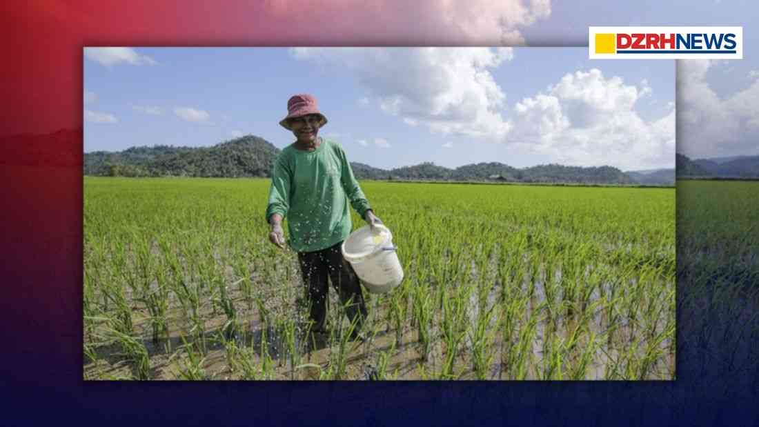 PH farmers face rising fertilizer costs, DA plans additional support