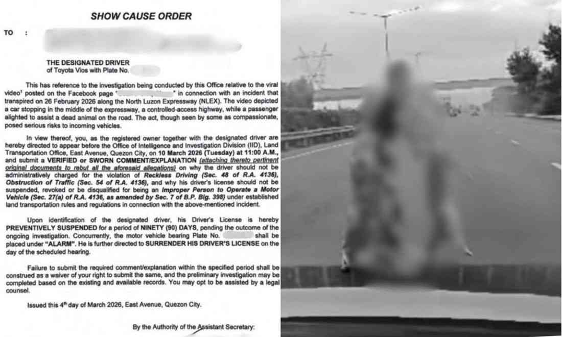 LTO issues show cause order vs. driver, vehicle owner for stopping at NLEX to help dead animal