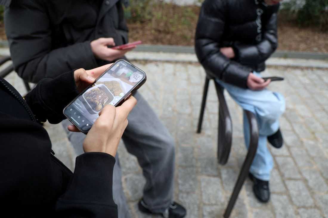 EU age verification app ready as Europe moves to curb children's social media access