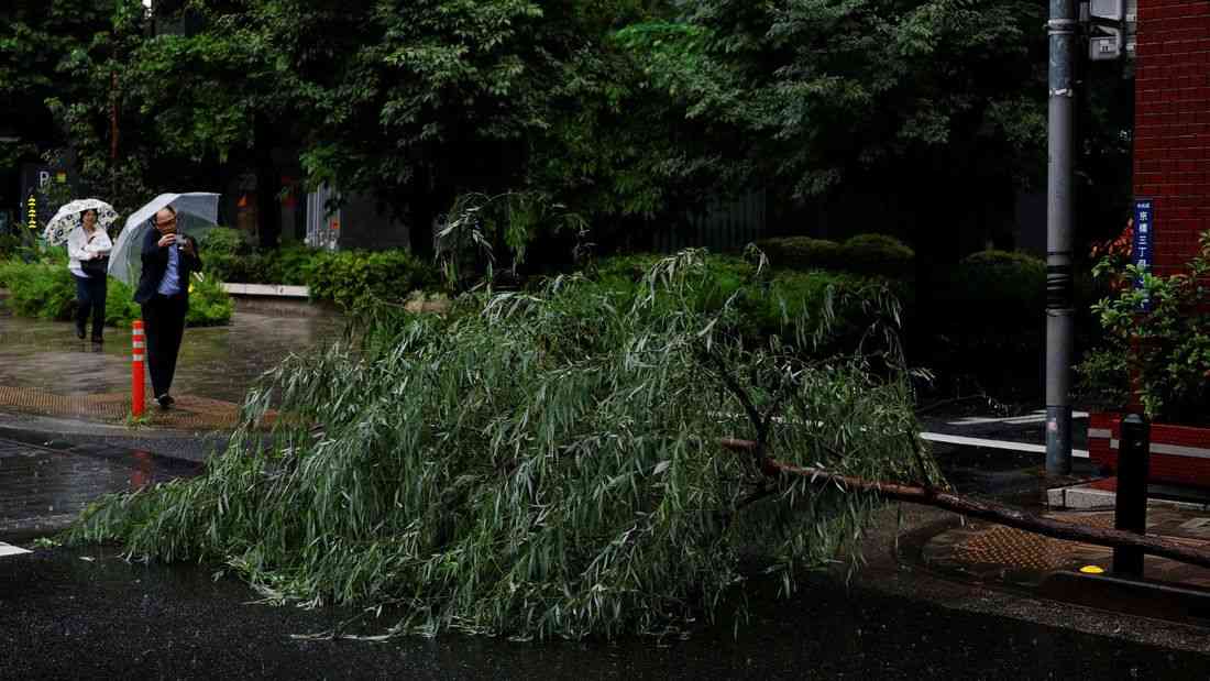 Tropical storm Jangmi batters Japan, cuts power to 60,000 homes