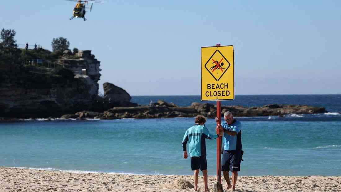 Sydney reopens beach under heavy patrols after shark attack