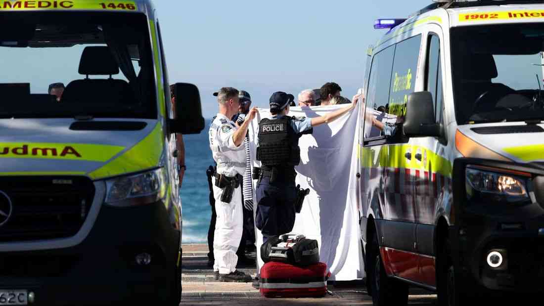Woman seriously injured in shark attack at Sydney beach