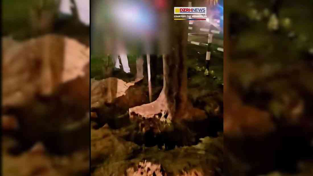 DENR investigating contractors involved in reported earth-balling activities on Roxas Blvd