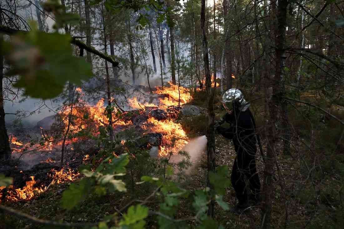 Wildfire rages near Paris as heatwave scorches Europe