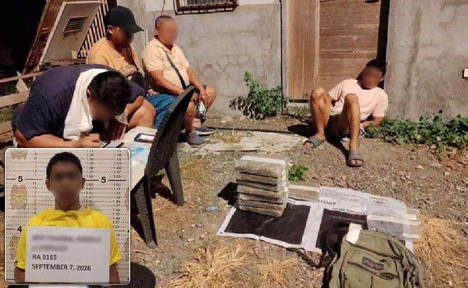 P1-M worth of marijuana seized, 1 drug dealer nabbed in Davao City