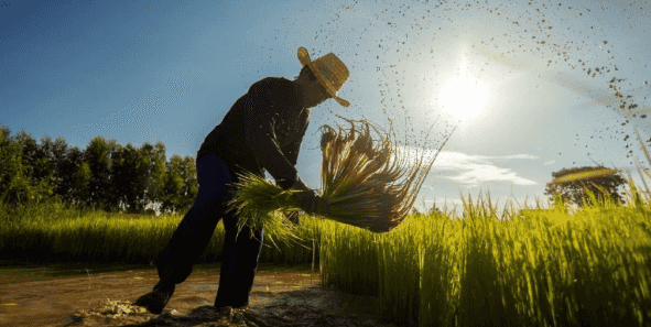 45% Filipinos believe their quality of life will improve — SWS