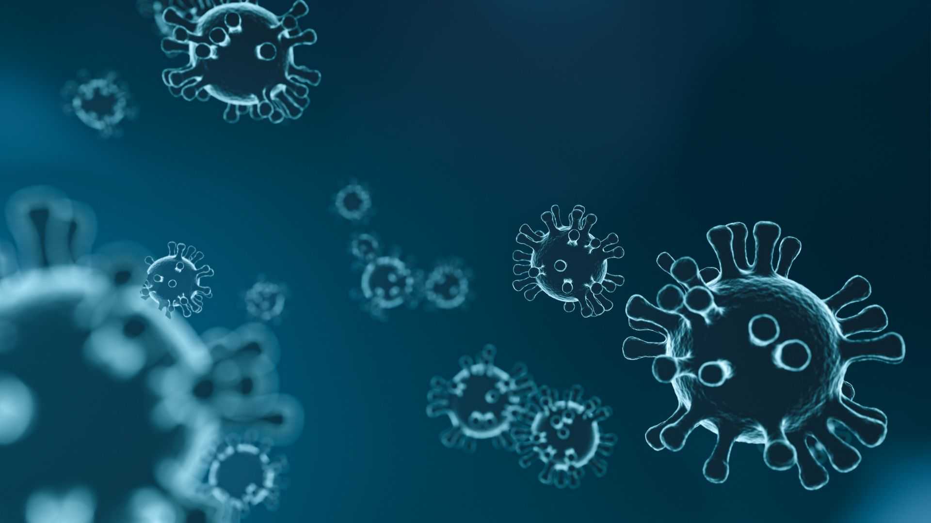 Alaska confirms first fatal death from Alaskapox