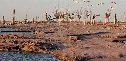 Argentina in talks with IMF to ease reserves targets amid drought