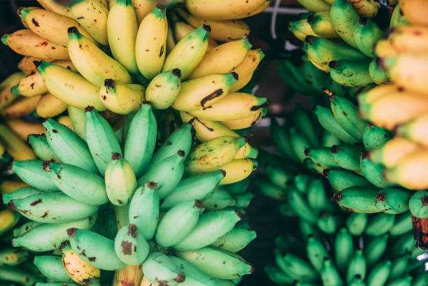 Solon says banana Industry in 'life or death' situation