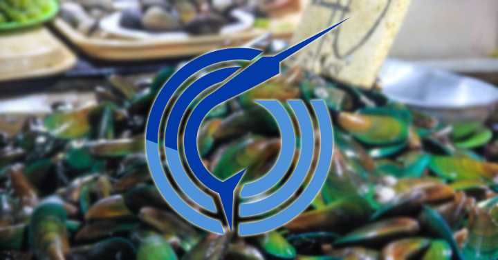 BFAR issues shellfish ban in 8 coastal areas positive for toxic red tide