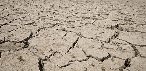 China warns of hotter, longer heatwaves as climate change intensifies