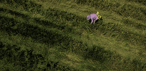 China warns prolonged heatwave may damage rice, cotton crops