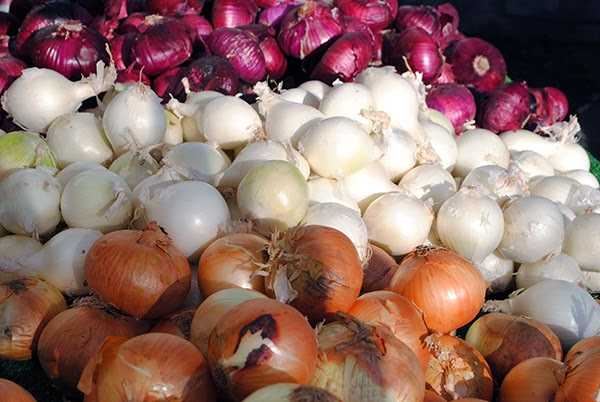 DA to set new SRP for onions this week
