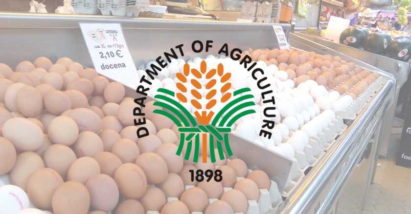 DA wants price monitoring for eggs
