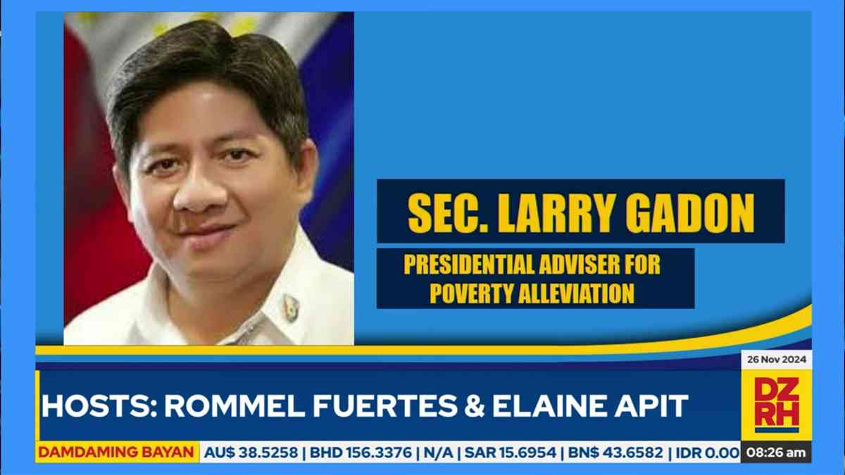Sec. Gadon on VP Sara's recent statements: "She is mentally incapacitated"