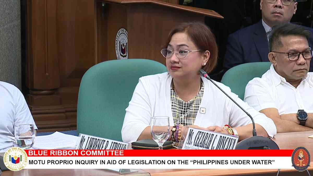 Discaya admits owning 28 luxury cars, denies use of tax funds