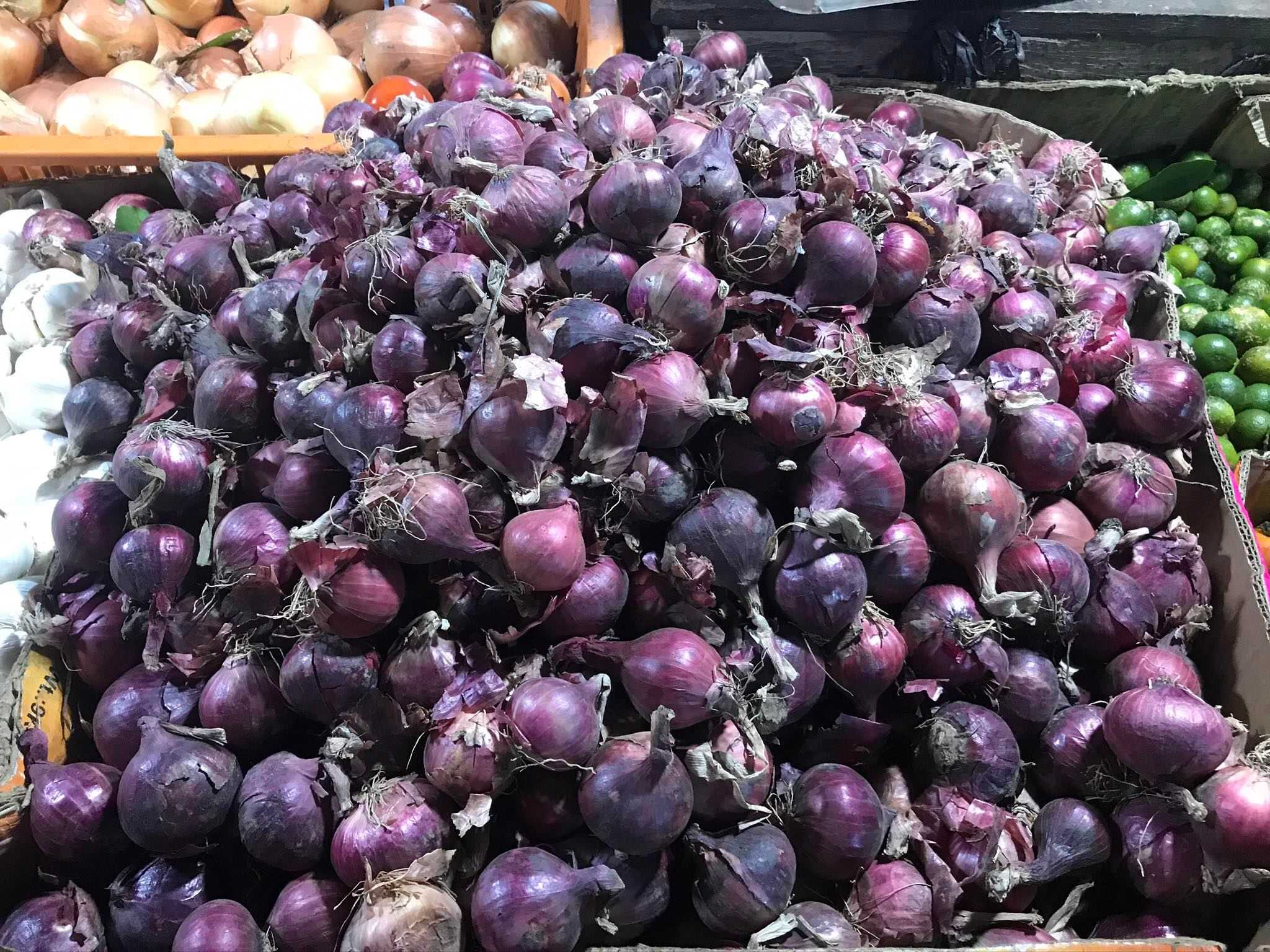 DOJ prepares economic sabotage case vs. individuals behind smuggled onions