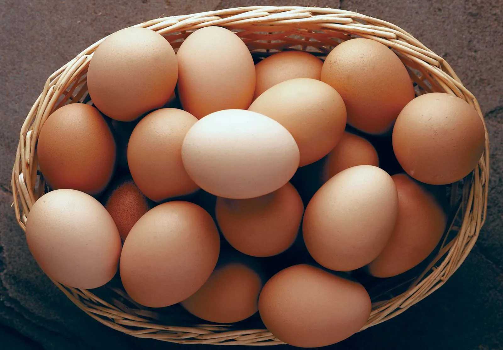 Egg price still blurry to decrease in the next 5 months — Sinag chair