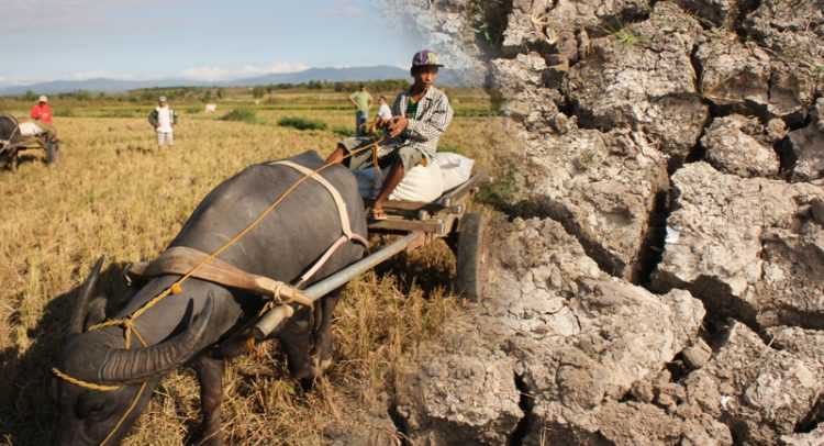 24 province braces for drought caused by El Nino - PAGASA