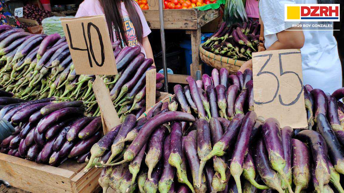 DTI orders price freeze in Ilocos Norte amid rabies outbreak