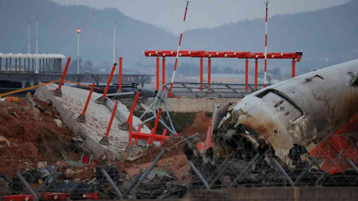 Duck DNA in both engines of Jeju Air plane that crashed, report says