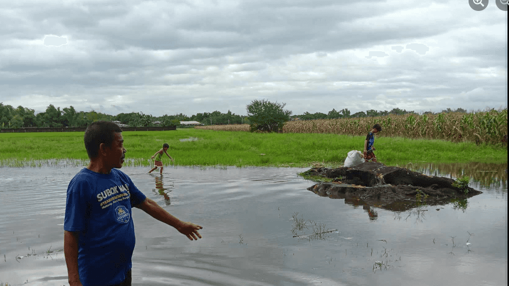 DA: Around P53.1-M damage in agri sector due to Egay onslaught