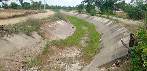 El Niño damages up to Php 4.39 billion - PCO